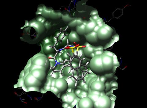 Molecular Docking Training & Certification- Self Learning Course - Image 8